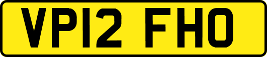 VP12FHO