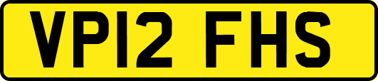 VP12FHS