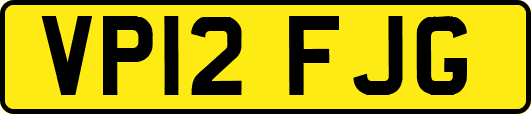 VP12FJG