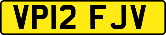 VP12FJV