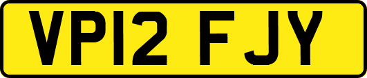 VP12FJY