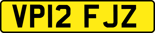VP12FJZ