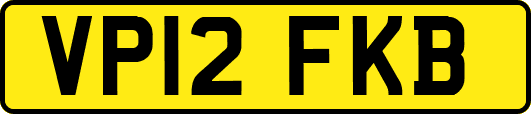 VP12FKB