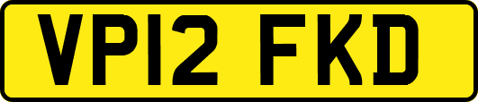 VP12FKD