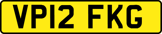 VP12FKG