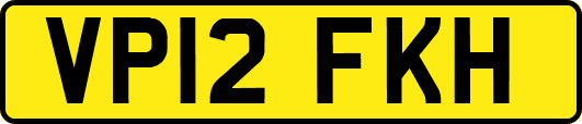 VP12FKH