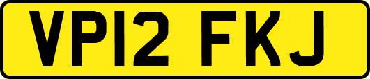 VP12FKJ