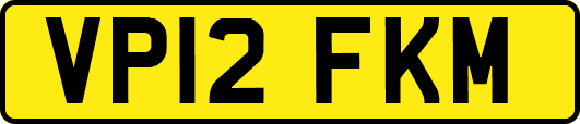VP12FKM