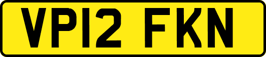 VP12FKN