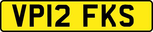 VP12FKS