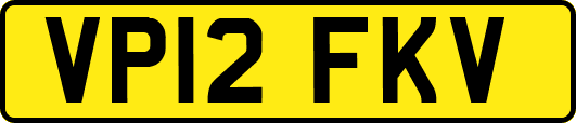 VP12FKV