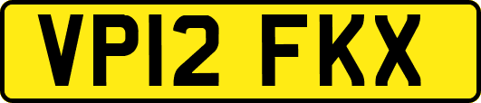 VP12FKX
