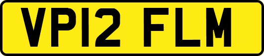 VP12FLM