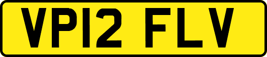 VP12FLV
