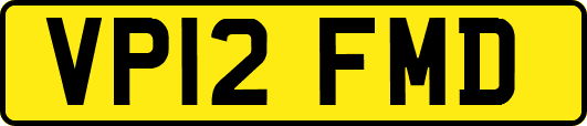 VP12FMD
