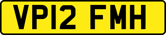 VP12FMH