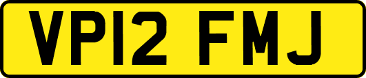 VP12FMJ