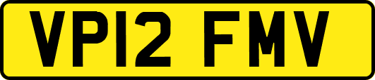 VP12FMV