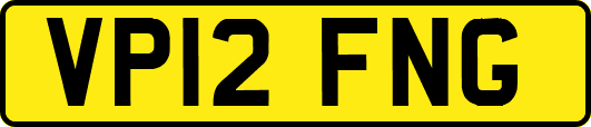 VP12FNG