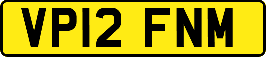 VP12FNM