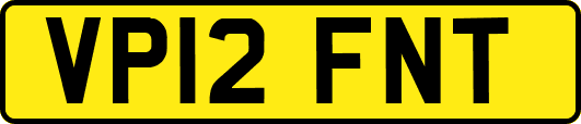 VP12FNT