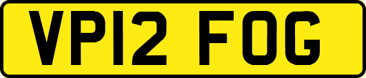 VP12FOG