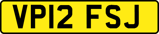 VP12FSJ