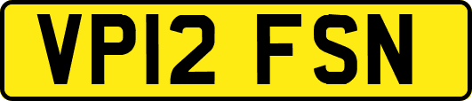 VP12FSN