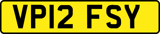 VP12FSY