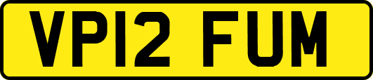 VP12FUM