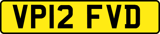 VP12FVD