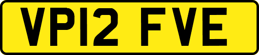 VP12FVE