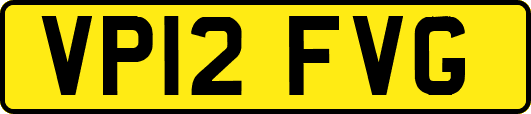 VP12FVG