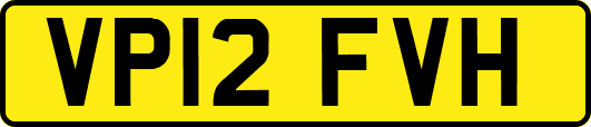 VP12FVH