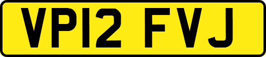 VP12FVJ