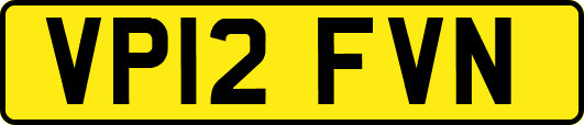 VP12FVN