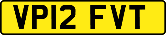 VP12FVT