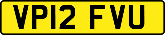VP12FVU