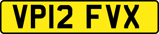 VP12FVX