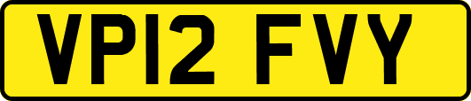 VP12FVY