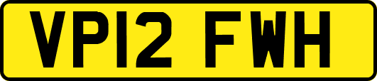 VP12FWH