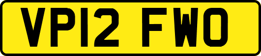 VP12FWO