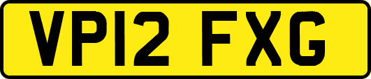VP12FXG