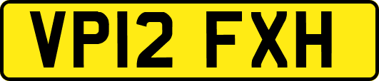 VP12FXH