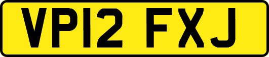 VP12FXJ