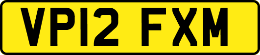 VP12FXM