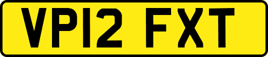 VP12FXT