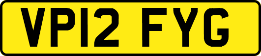 VP12FYG