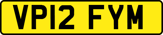 VP12FYM