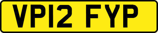 VP12FYP
